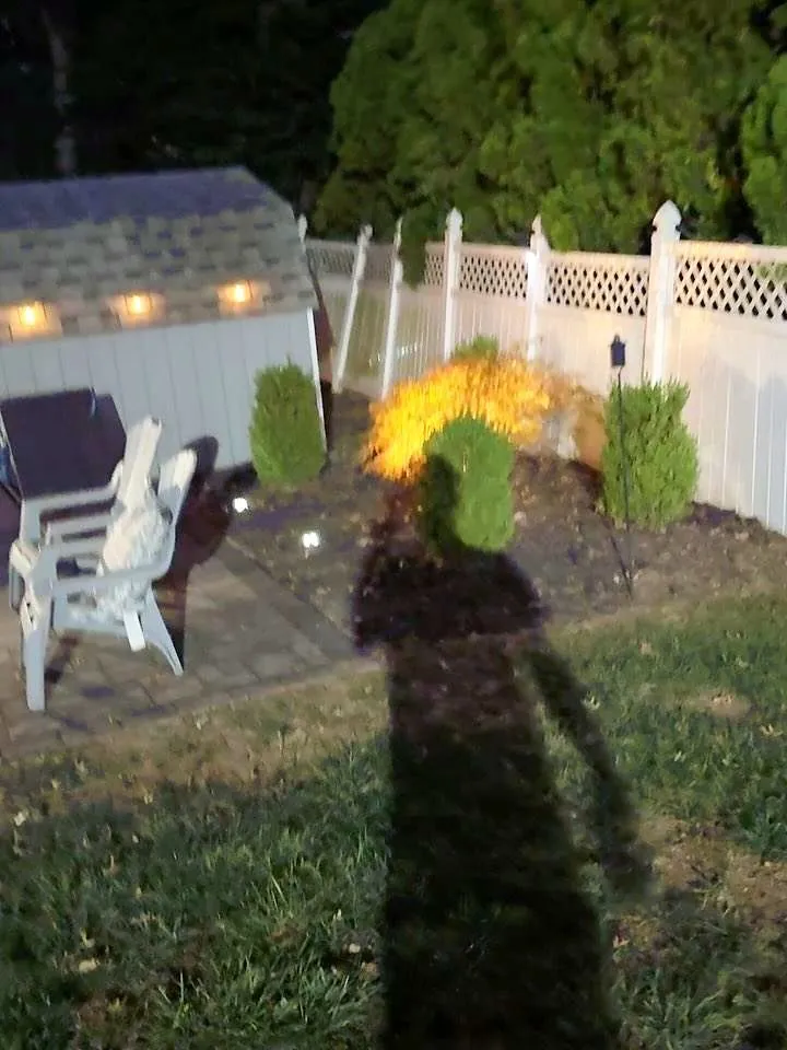 Backyard fence line and planting beds lit at night