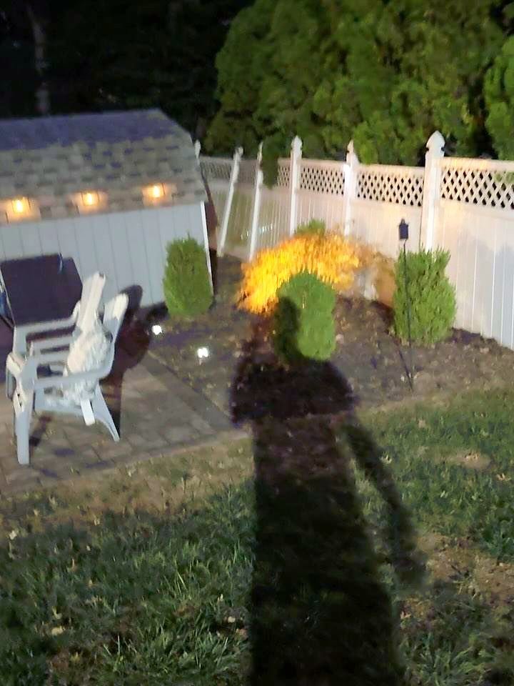 Backyard fence line and planting beds lit at night